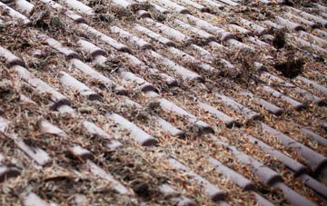 Chilsham roof cleaning companies