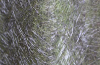 Chilsham fibreglass roof work